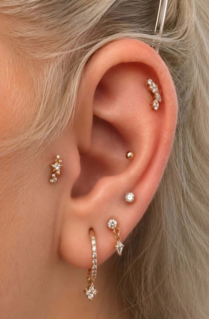 Lobe tragus, conch et helix