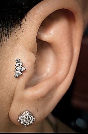 Tragus
